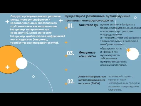 Следует проводить важное различие между гломерулонефритом и невоспалительным заболеванием клубочков