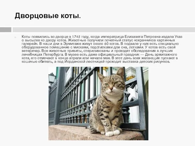 Дворцовые коты. Коты появились во дворце в 1745 году, когда