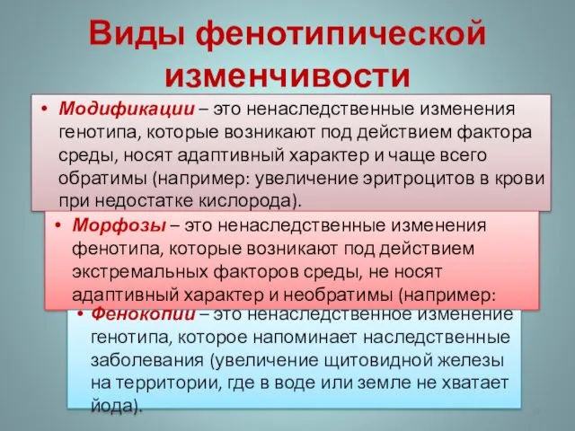 Виды фенотипической изменчивости Модификации – это ненаследственные изменения генотипа, которые