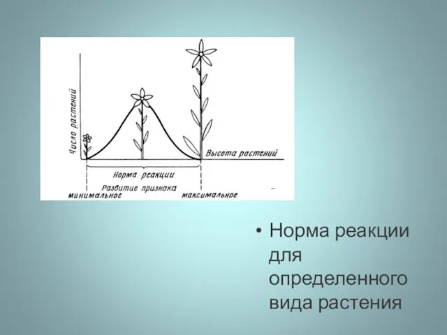 Норма реакции для определенного вида растения