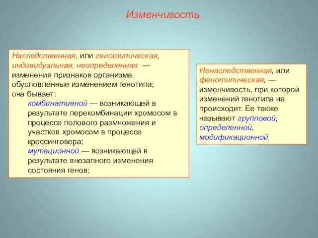 Изменчивость Ненаследственная, или фенотипическая, — изменчивость, при которой изменений генотипа