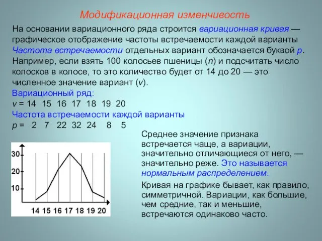 Модификационная изменчивость На основании вариационного ряда строится вариационная кривая —