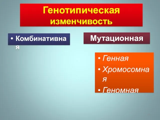 Генотипическая изменчивость Комбинативная Генная Хромосомная Геномная Мутационная