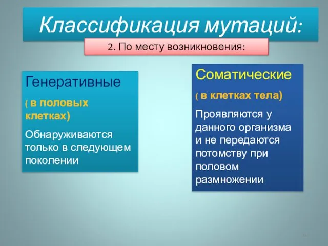 Генеративные ( в половых клетках) Обнаруживаются только в следующем поколении