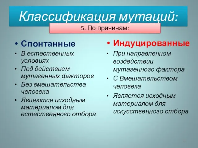 Спонтанные В естественных условиях Под действием мутагенных факторов Без вмешательства