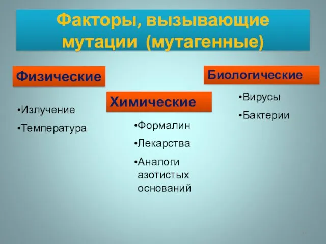 Факторы, вызывающие мутации (мутагенные) Физические Химические Биологические Излучение Температура Формалин Лекарства Аналоги азотистых оснований Вирусы Бактерии