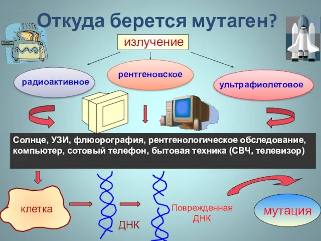 Откуда берется мутаген? излучение радиоактивное рентгеновское ультрафиолетовое Солнце, УЗИ, флюорография,