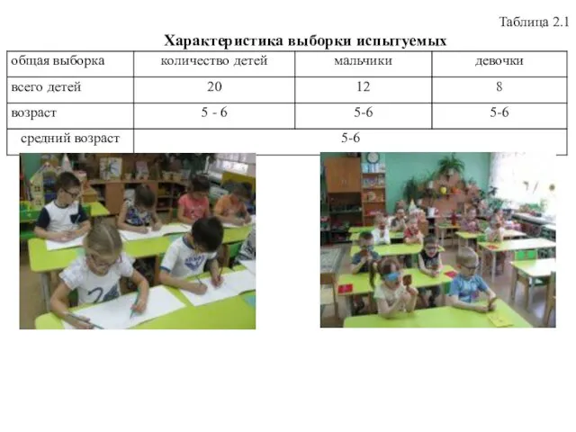 Таблица 2.1 Характеристика выборки испытуемых