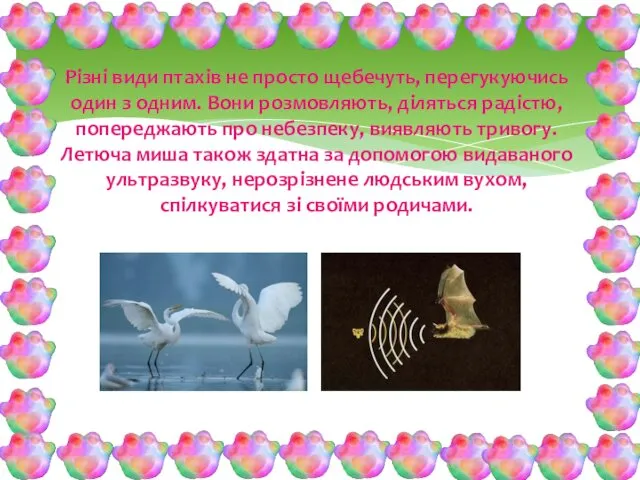 Різні види птахів не просто щебечуть, перегукуючись один з одним.