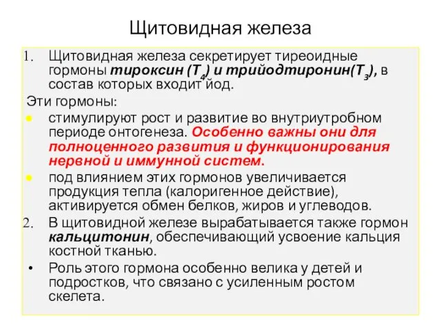 Щитовидная железа Щитовидная железа секретирует тиреоидные гормоны тироксин (Т4) и