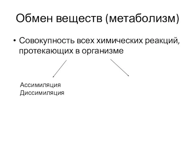 Обмен веществ (метаболизм) Совокупность всех химических реакций, протекающих в организме Ассимиляция Диссимиляция