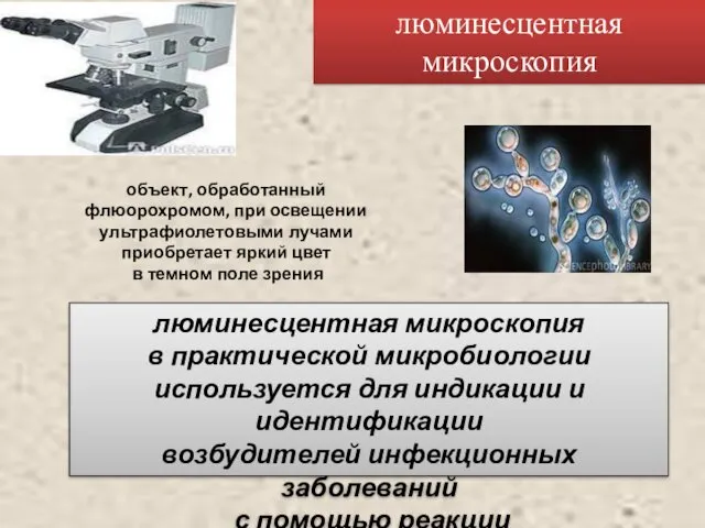 люминесцентная микроскопия объект, обработанный флюорохромом, при освещении ультрафиолетовыми лучами приобретает