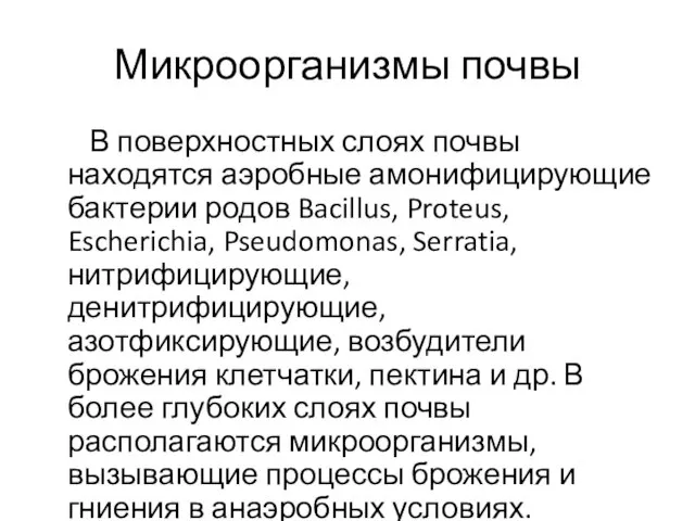 Микроорганизмы почвы В поверхностных слоях почвы находятся аэробные амонифицирующие бактерии