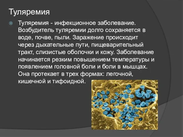 Туляремия Туляремия - инфекционное заболевание. Возбудитель туляремии долго сохраняется в