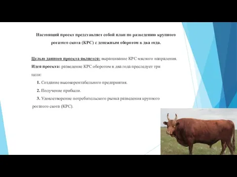 Настоящий проект представляет собой план по разведению крупного рогатого скота