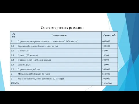 Смета стартовых расходов: