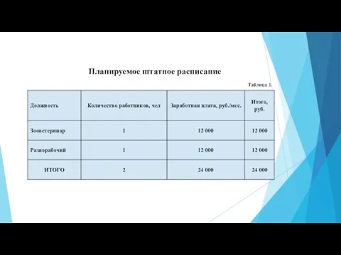 Планируемое штатное расписание Таблица 1.