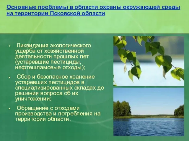 Основные проблемы в области охраны окружающей среды на территории Псковской