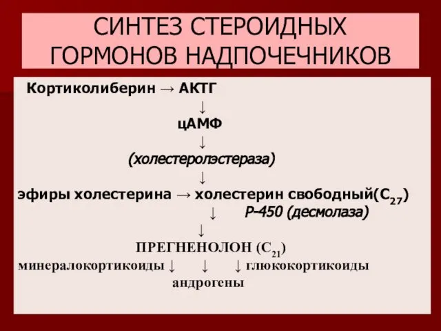 СИНТЕЗ СТЕРОИДНЫХ ГОРМОНОВ НАДПОЧЕЧНИКОВ Кортиколиберин → АКТГ ↓ цАМФ ↓