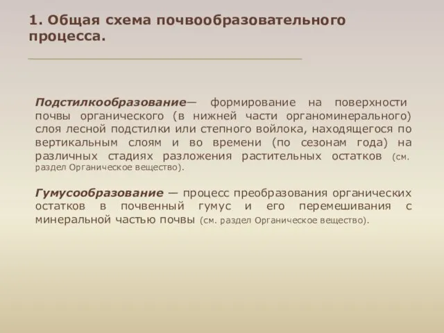 Подстилкообразование— формирование на поверхности почвы органического (в нижней части органоминерального)