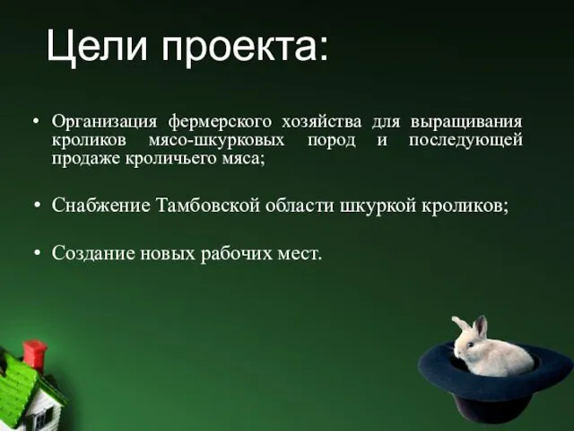 Организация фермерского хозяйства для выращивания кроликов мясо-шкурковых пород и последующей