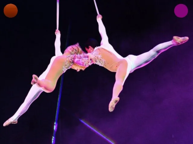 Цирковая гимнастика разделяется на партерную и воздушную. Партерная – упражнения на снарядах и