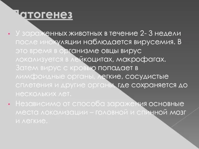 Патогенез У зараженных животных в течение 2- 3 недели после