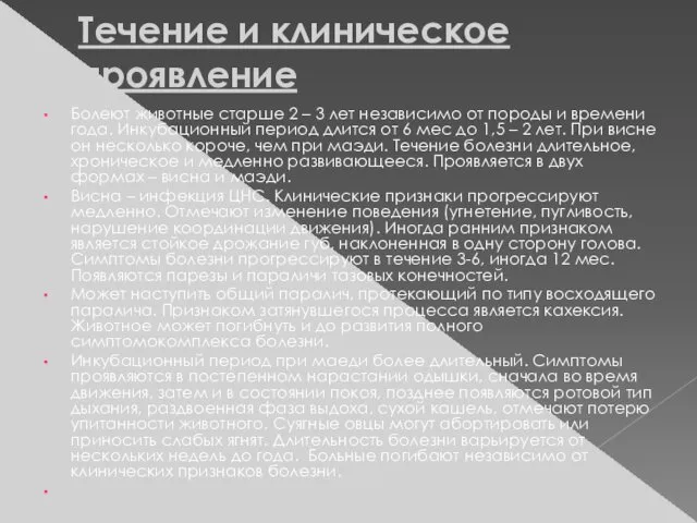 Течение и клиническое проявление Болеют животные старше 2 – 3