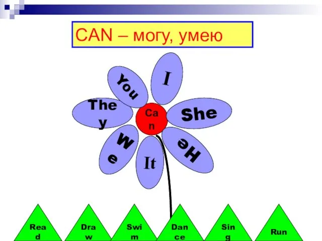 CAN – могу, умею Can They It He We She You I Read