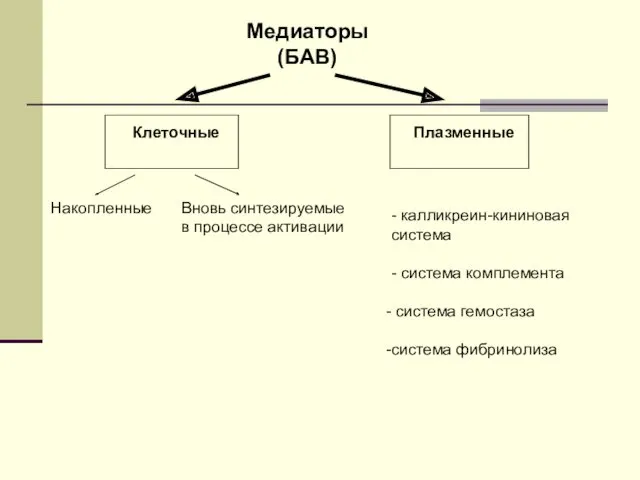 Медиаторы (БАВ) Клеточные Плазменные - калликреин-кининовая система - система комплемента