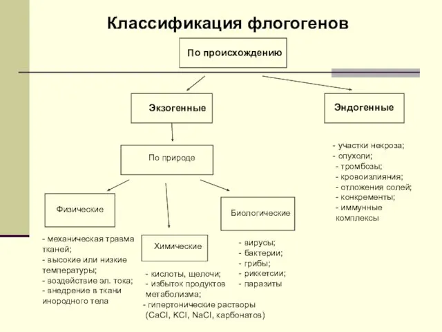 Классификация флогогенов По происхождению По природе Экзогенные Эндогенные Физические Биологические