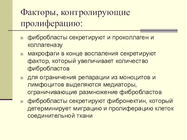 Факторы, контролирующие пролиферацию: фибробласты секретируют и проколлаген и коллагеназу макрофаги