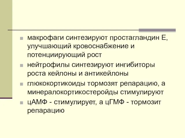 макрофаги синтезируют простагландин Е, улучшающий кровоснабжение и потенциирующий рост нейтрофилы