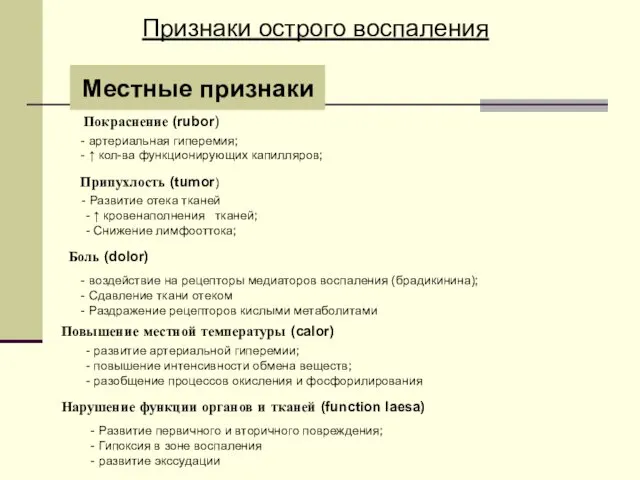 Признаки острого воспаления Местные признаки - артериальная гиперемия; - ↑