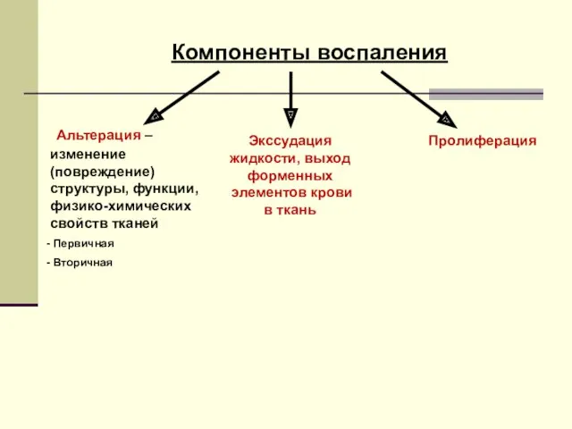 Компоненты воспаления Альтерация – изменение (повреждение) структуры, функции, физико-химических свойств