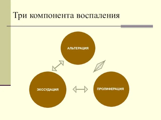 АЛЬТЕРАЦИЯ ЭКССУДАЦИЯ ПРОЛИФЕРАЦИЯ Три компонента воспаления