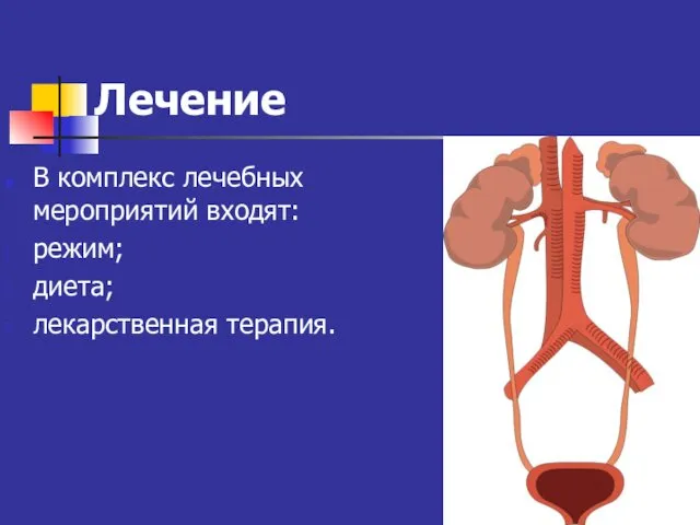 Лечение В комплекс лечебных мероприятий входят: режим; диета; лекарственная терапия.