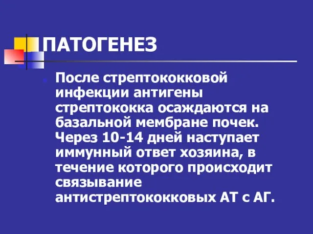 ПАТОГЕНЕЗ После стрептококковой инфекции антигены стрептококка осаждаются на базальной мембране