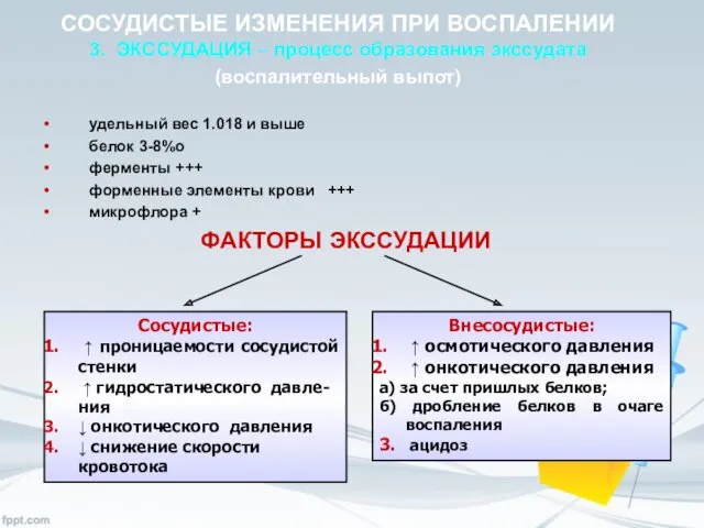 удельный вес 1.018 и выше белок 3-8%о ферменты +++ форменные