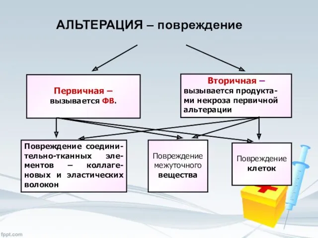 АЛЬТЕРАЦИЯ – повреждение