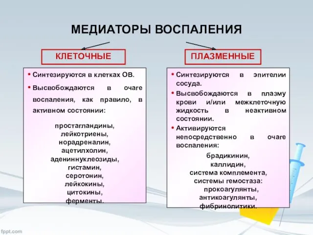 МЕДИАТОРЫ ВОСПАЛЕНИЯ КЛЕТОЧНЫЕ ПЛАЗМЕННЫЕ Синтезируются в клетках ОВ. Высвобождаются в