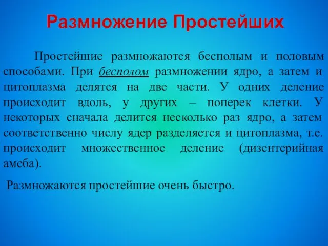 Размножение Простейших Простейшие размножаются бесполым и половым способами. При бесполом