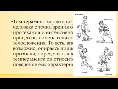 Темперамент характеризует тело человека с точки зрения особенностей протекания и