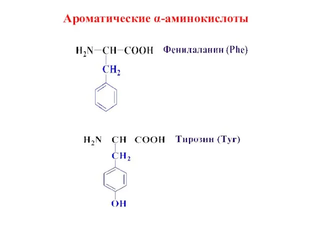 Ароматические α-аминокислоты