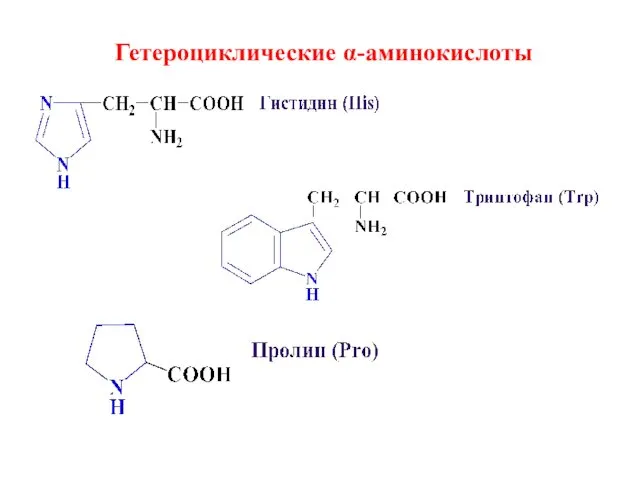 Гетероциклические α-аминокислоты