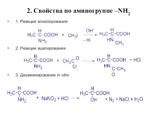 2. Свойства по аминогруппе –NН2 1. Реакции алкилирования 2. Реакции ацилирования 3. Дезаминирование in vitro