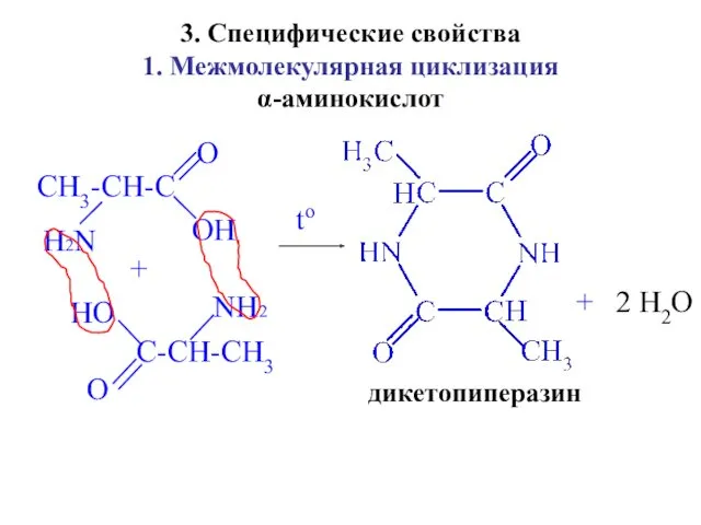 3. Специфические свойства 1. Межмолекулярная циклизация α-аминокислот CH3-CH-C H2N O O H C-CH-CH3