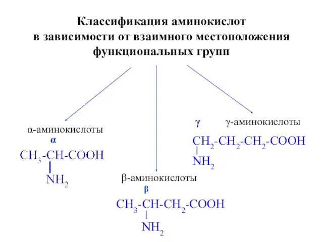Классификация аминокислот в зависимости от взаимного местоположения функциональных групп α-аминокислоты γ-аминокислоты β-аминокислоты α