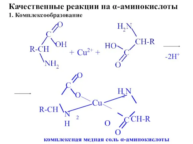 + Cu2+ + комплексная медная соль α-аминокислоты Качественные реакции на α-аминокислоты 1. Комплексообразование -2Н+