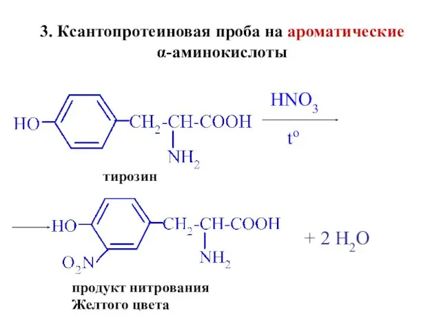 3. Ксантопротеиновая проба на ароматические α-аминокислоты HNO3 to тирозин продукт нитрования Желтого цвета + 2 H2O